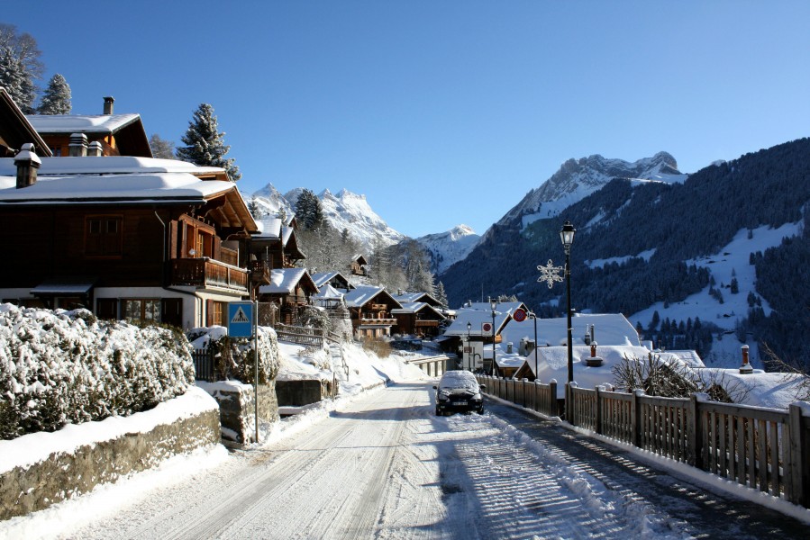 Gryon Immobilier