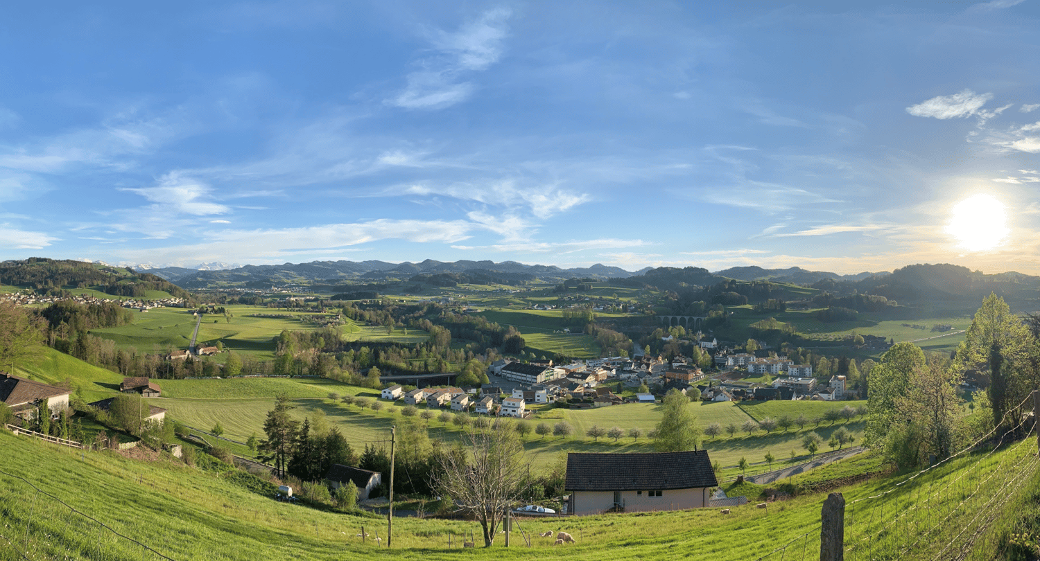 Weitblick Immo GmbH