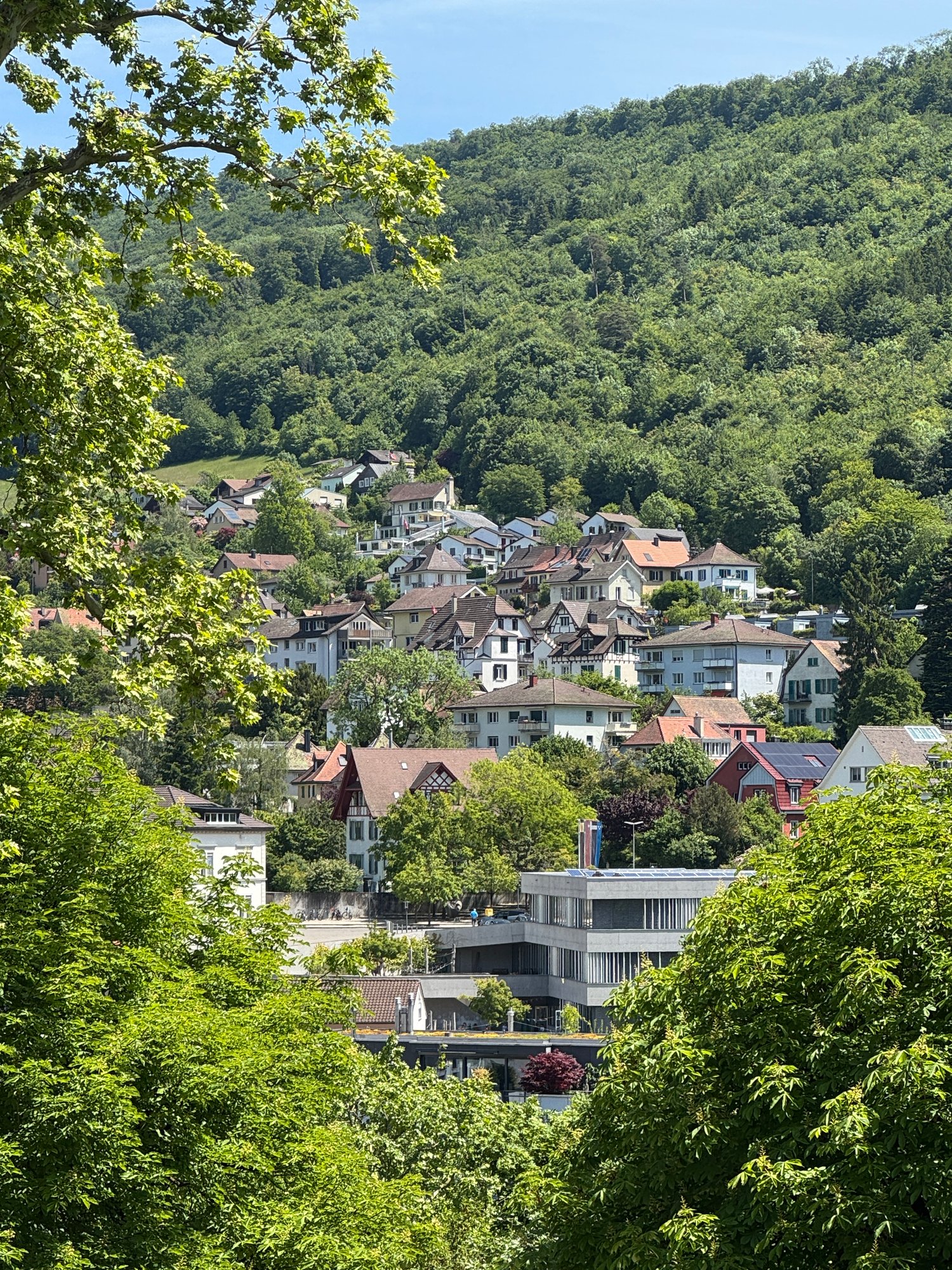 Salimmo Living GmbH