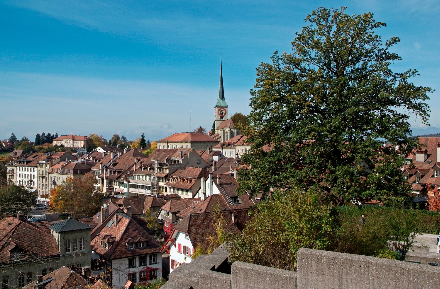 Minder Immobilien