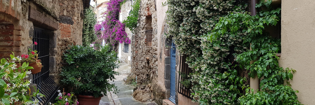 Jo-L Immobilier