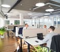 Modern office space with open layout, adjustable desks, large windows, potted plants, ceiling-mounted round lights, three men sitting at their desks with laptops, a black phone, and business attire.