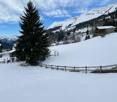 Houses on a snowy mountain, wooden fences, trees, mountains in the background