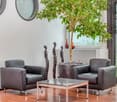 gray leather armchairs, glass top coffee table, two sculptures, large green plant