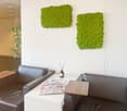 The image shows an office space with white walls, two gray leather sofas, a small table with a newspaper on it, and two large green moss panels mounted on the wall.