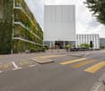 Modern building with green wall, large windows, bicycles parked in front, bicycles painted on road