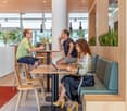 modern office with wooden furniture, large windows, and plants