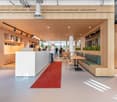 Open concept office space with wooden walls and ceiling, track lighting, reception desk, seating area with tables and benches, and a red carpet leading to the entrance.