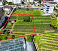 The image shows an aerial view of a residential area with a large terraced garden or vineyard in the center, surrounded by multi-story residential buildings. The terraced garden or vineyard appears to be situated on a raised ground floor, with the buildin