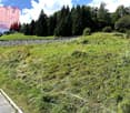 Terreno per costruire - Dalpe