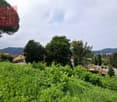Terreno per costruire - Vacallo