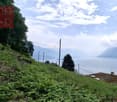 6614 Brissago