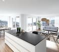 modern kitchen, dining table with chairs, large windows, living room with couches, glass table, plants