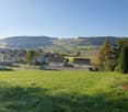 Green grass, trees, houses in the background, mountains in the distance