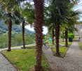 Stone walkway, row of palm trees, garden area, distant mountains, outdoor seating with chairs and tables