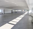 Empty space with windows, arched ceiling, large open area, shadows on the floor from the windows.
