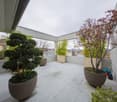 Balcony with tiled floor, large potted plants, and a view of the city