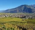 Vineyards and town surrounded by mountains