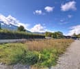 Terrain d'exception sur les hauts de Sion
