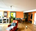 wooden floor, orange walls, wooden table, chairs, cabinet, shelves with items, fireplace, mirror, plants, picture frames