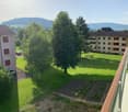 The image shows a view from a balcony or terrace of an apartment building. The building is surrounded by lush greenery, including a large tree in the foreground and other trees and vegetation. The building has multiple floors and appears to be located in