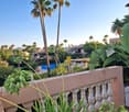 View of a terrace with plants overlooking a large swimming pool and green palm trees, a residential community in the background.