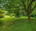 StadtOase - Schönes Einfamilienhaus mit Ausnutzungspotential