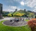 playground, green lawn, trees, large hill, houses in the background