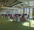 office space with large windows, desks, chairs, computers, and a central green carpet