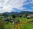 TERRENO EDIFICABILE CON PROGETTO PER UNA CASA A MONTEGGIO