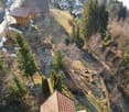 Solenberg 107, 8723 Schänis