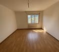 empty room, wooden floor, white walls, window with view, radiator