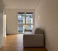 white walls, wooden floor, large glass window with view, gray sofa
