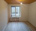 empty room, wooden floor, white walls, a window with a view to outside, a plant in the window sill