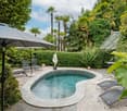 Small outdoor pool with lounge chairs, umbrellas, and plants