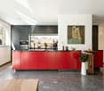 Red Phoenix | SZ