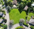 Green lawn with surrounding houses, driveway, trees and bushes.