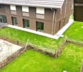 Brown house, multiple windows, green lawn, driveway