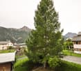 Tree, house, mountain in the background, greenery, wooden shed