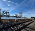 View of a lake and a building from the train track