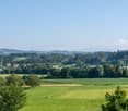 Building exterior, lush greenery, hills, farmland, houses, tree-lined forest