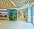 modern office hallway, white floor, blue walls, wooden ceiling, plants, tables, exit sign