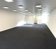 empty room, white walls, gray carpet, ceiling lights, doors, windows
