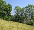 Bergmattenweg, 4148 Pfeffingen