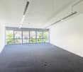 empty room, white walls, glass windows, gray carpet