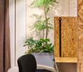 Black desk chair, wooden desk, wooden partition wall, potted plants