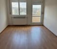 empty room, wooden floor, white walls, two windows, white radiator, glass door