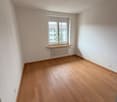 empty room, wooden floor, white walls, window with white frame, white ceiling light, white radiator