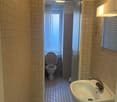 Small bathroom with toilet, sink, and shower area