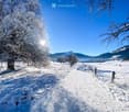 The image shows a snowy winter landscape with a path through a row of snow-covered trees. The sky is a bright blue, and the sun is shining, creating a sparkling effect on the snow. In the distance, there are mountains visible. The path appears to be well-